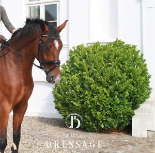 Bille Dressage Bille Dressage